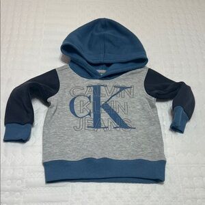Calvin Klein Kids Hoodie in Blue and Gray